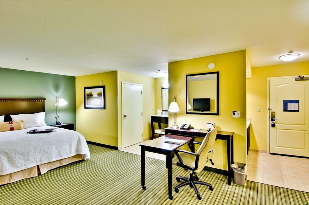 Studio, One King Bed, Accessible - Photo 3