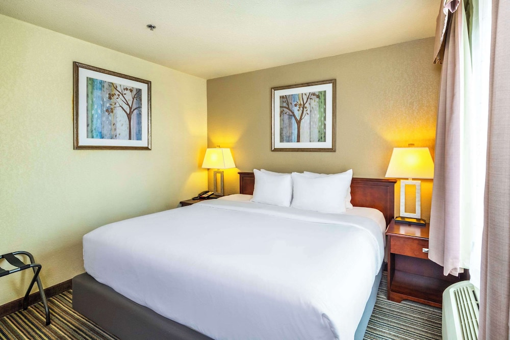 Junior Suite, 1 King Bed with Sofa bed, Non Smoking photo 3