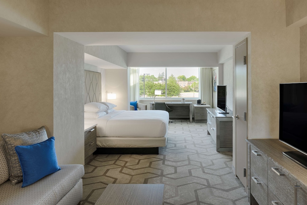 Studio Suite, 1 King Bed