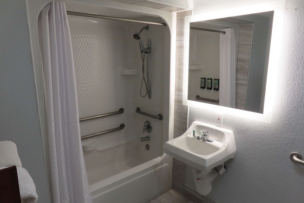 Standard Room, 1 King Bed, Accessible, Refrigerator & Microwave - Photo 5