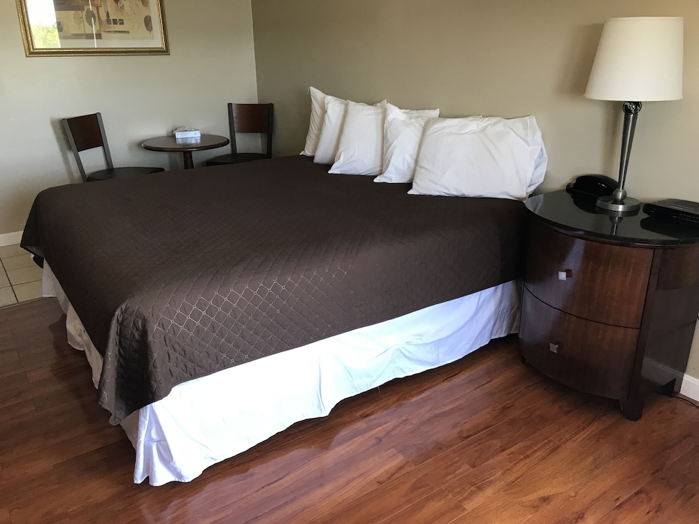 Standard Room, 1 King Bed, Refrigerator & Microwave photo 1