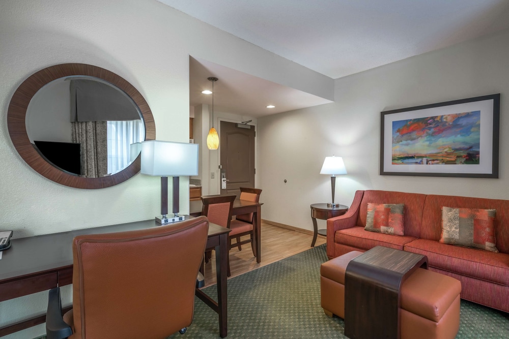 Studio Suite, 2 Double Beds, Non Smoking photo 2