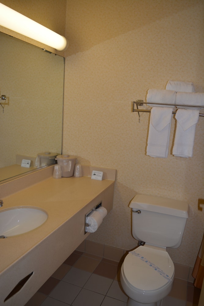 Deluxe Suite, 1 King Bed, Non Smoking, Refrigerator & Microwave - Photo 13