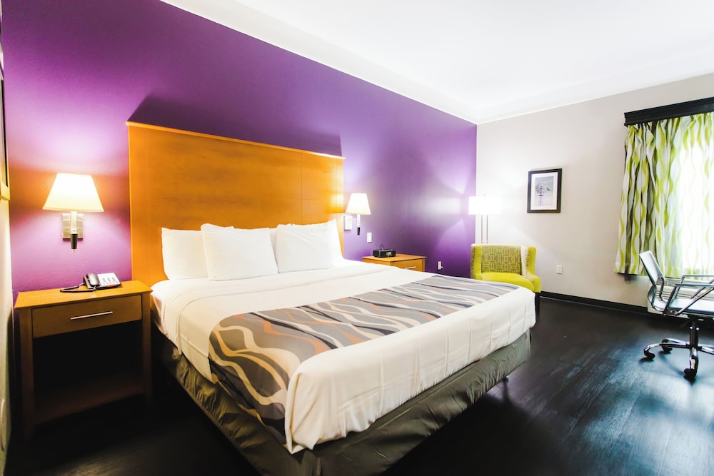 Business Room, 1 King Bed, Bathtub Grab Bars