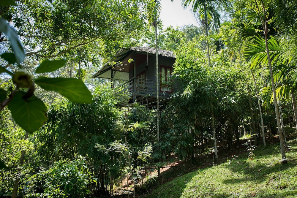 Ebony Elevated Cottage photo 2