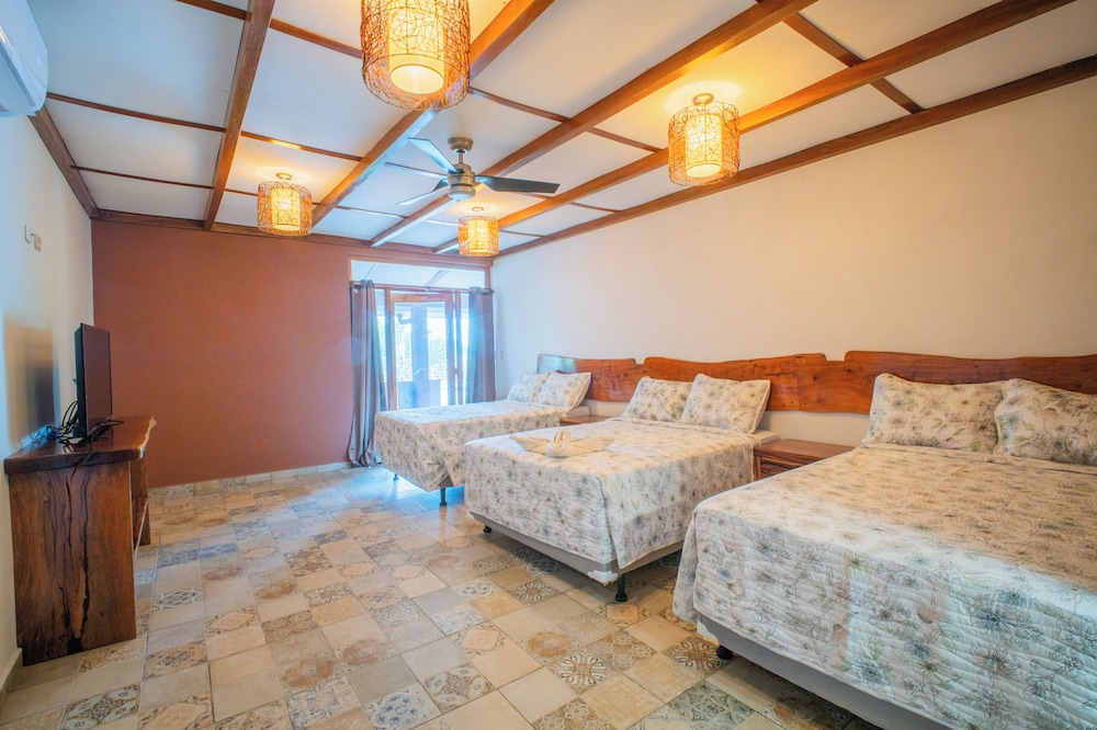 Premium Triple Room photo 1