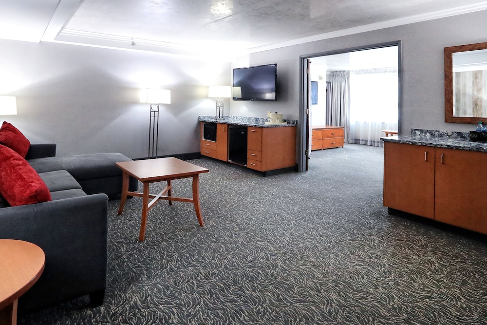 Suite - Photo 6