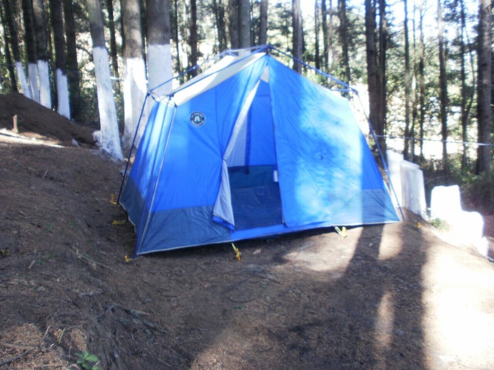 Space for a Tent.  Tent/Bed not provided photo 3
