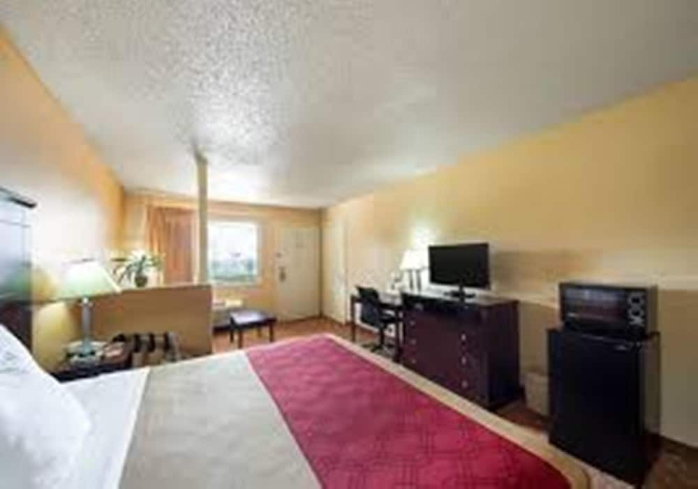Suite, 1 King Bed With Sofa Bed, Non Smoking