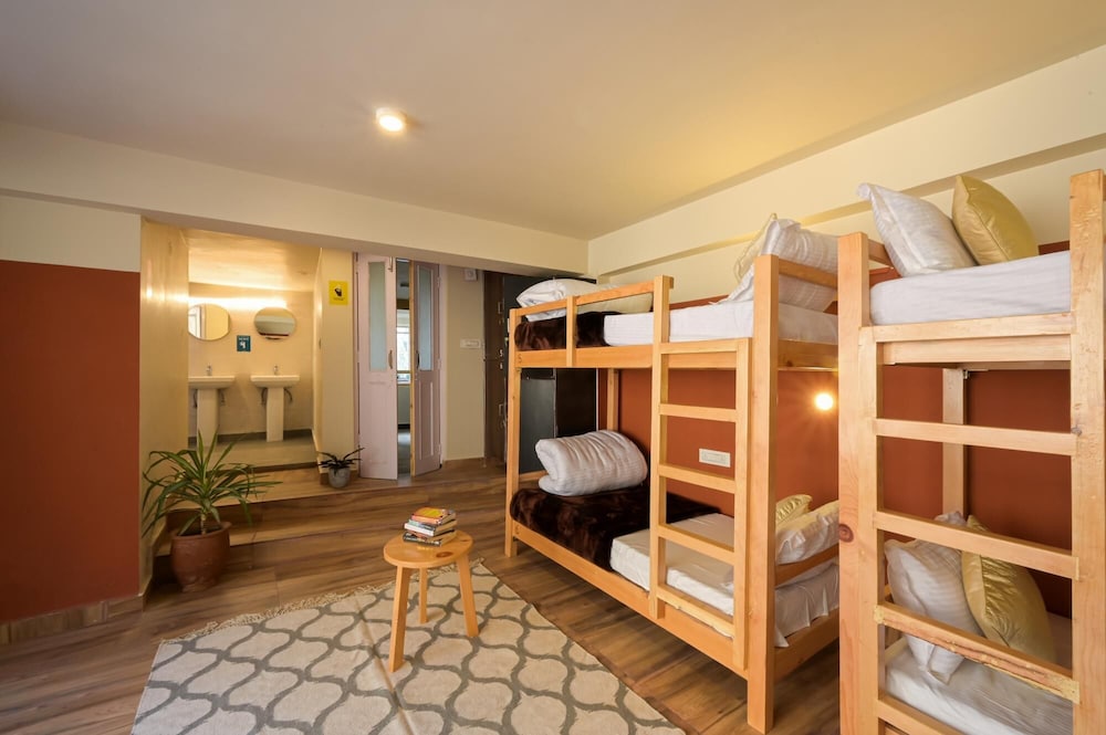 6 Bed Female Dorm photo 1