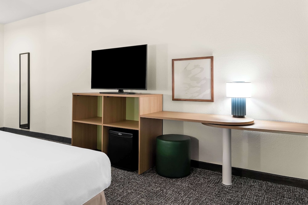 Room, 1 King Bed, Accessible (Mobility, Roll-In Shower) - Photo 5