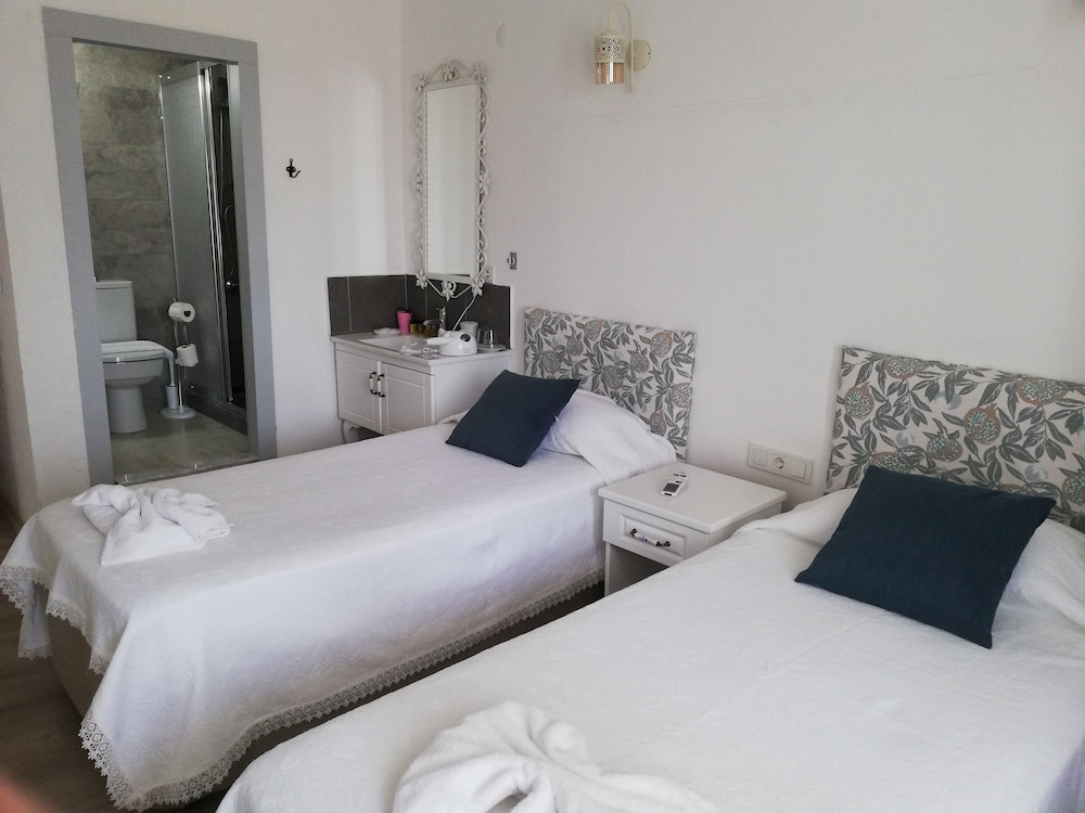 Panoramic Double or Twin Room photo 1