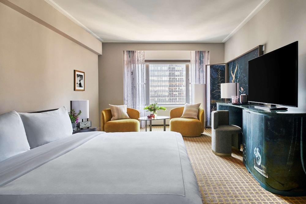 Room, 1 King Bed, Accessible, City View (with Tub Shower)