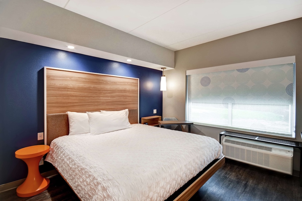 Room, 1 King Bed, Accessible (Roll-in Shower) photo 1