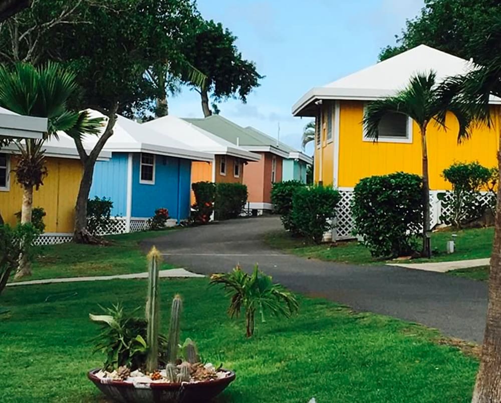 Studio Bungalow photo 3