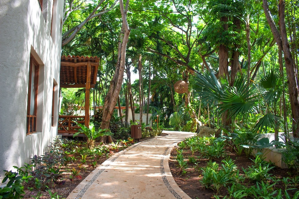 The Oasis Palapa