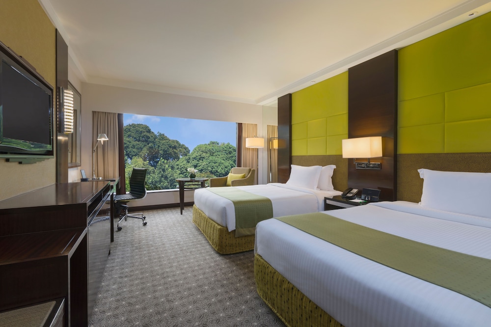 Suite, 1 King Bed