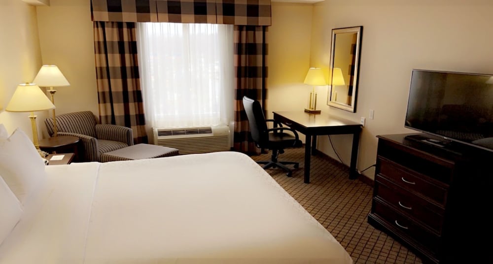 Suite, 1 King Bed with Sofa bed (Wet Bar) - Photo 1