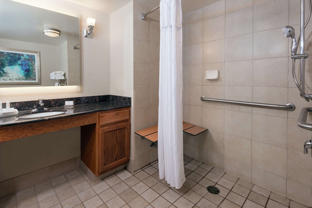 Studio, 1 King Bed, Accessible, Non Smoking (Roll-in Shower) - Photo 5
