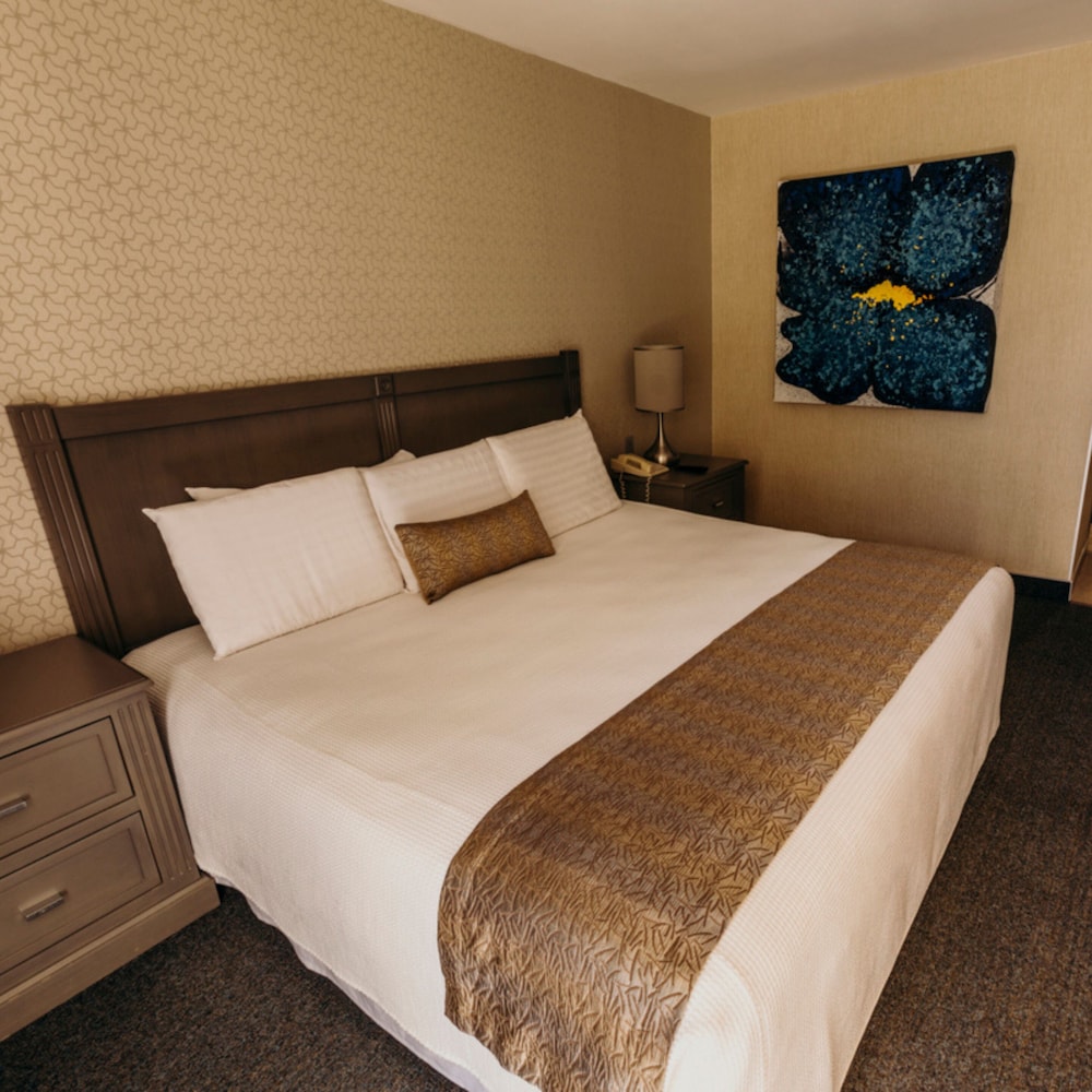Suite, 1 King Bed photo 3