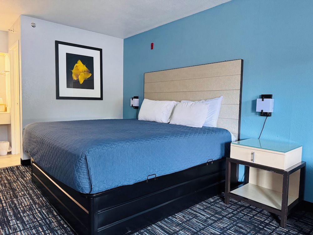 Deluxe Room, 1 King Bed, Bathtub Grab Bars