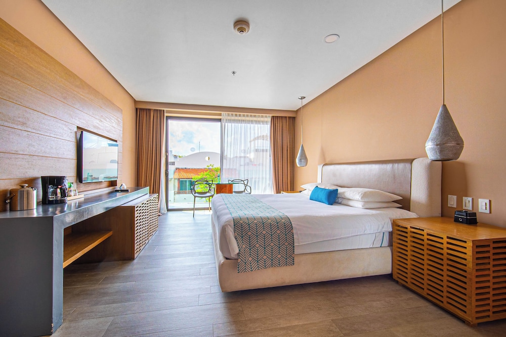 Room, 1 King Bed, Accessible (roll-in Shower)