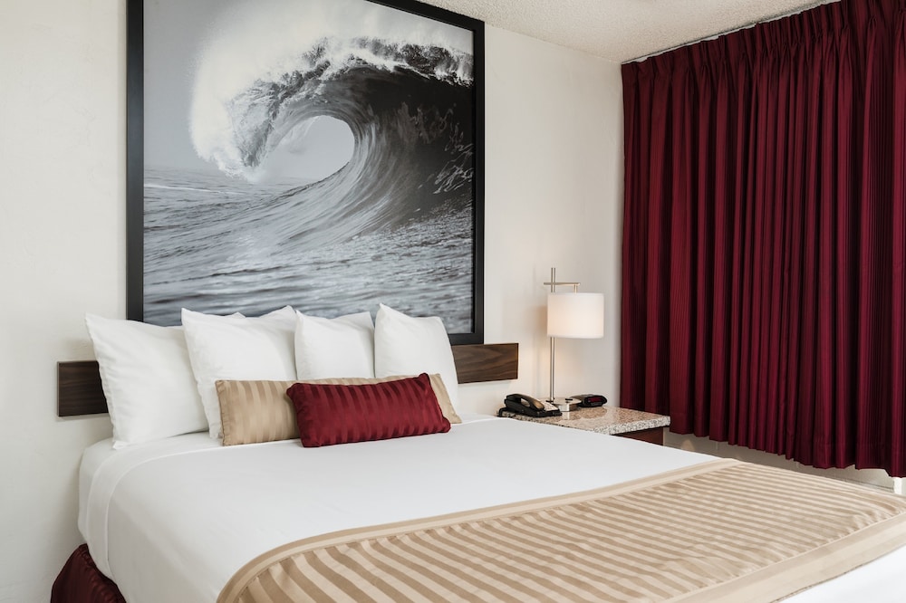 Standard Single Room, 1 Twin Bed, Accessible - Photo 1
