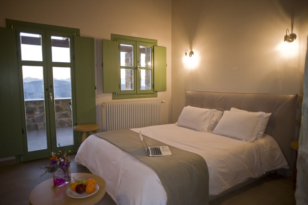 Deluxe Double or Twin Room photo 2