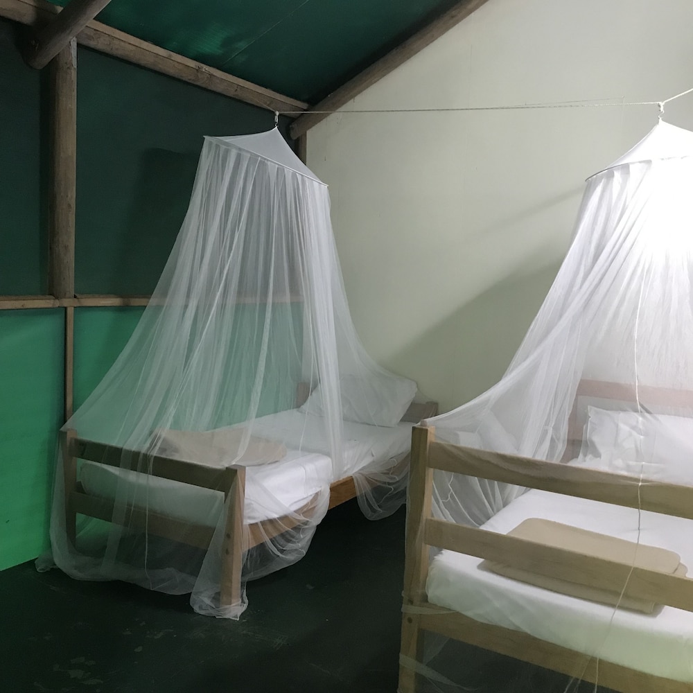 Economy Tree House, 2 Twin Beds photo 2