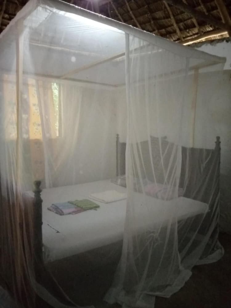 Shared Dormitory, 1 Bedroom, Balcony photo 3