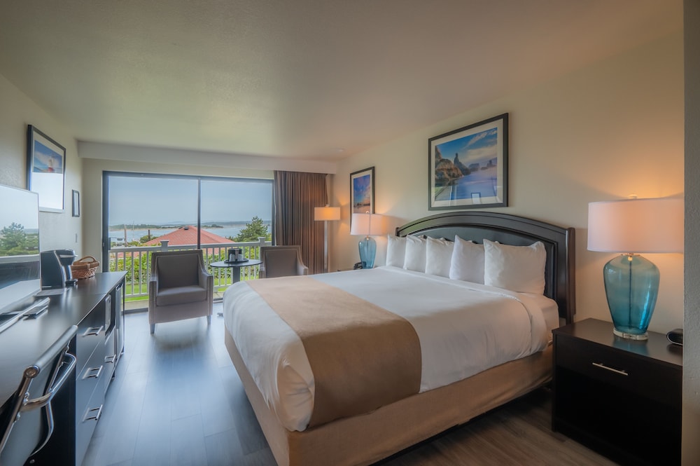 Room, 1 King Bed, Accessible (Pet Friendly - ADA) photo 3