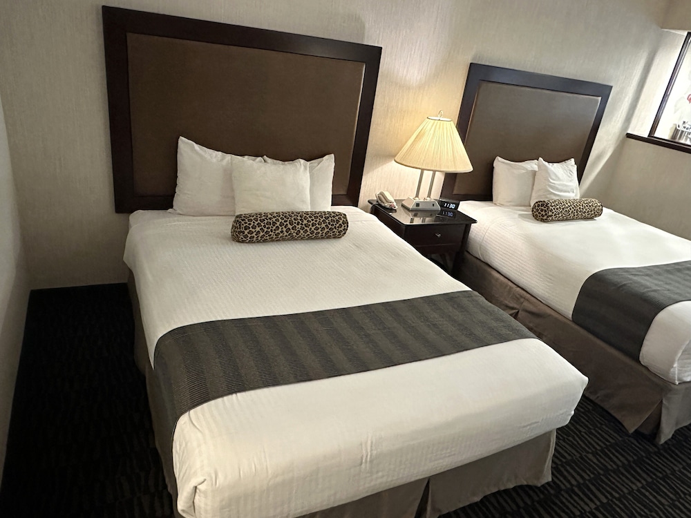 Junior Suite, 2 Queen Beds
