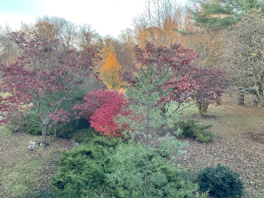 Purcellville Home, Foto 4