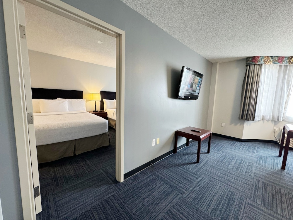 Family Suite - Photo 1