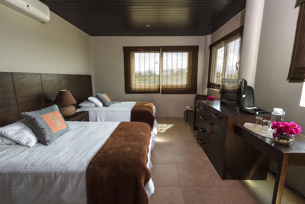 Double Room, Mountain View