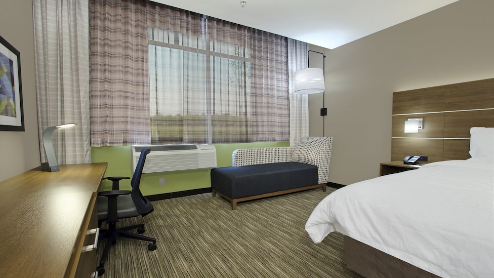 Suite, 1 King Bed, Accessible Bathtub (Mobility Tub) photo 3