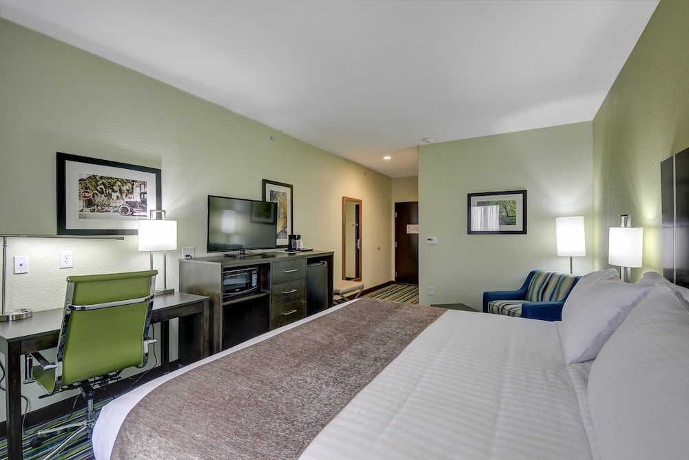 Standard Room, 1 King Bed, Accessible (Mobility Tub) photo 1