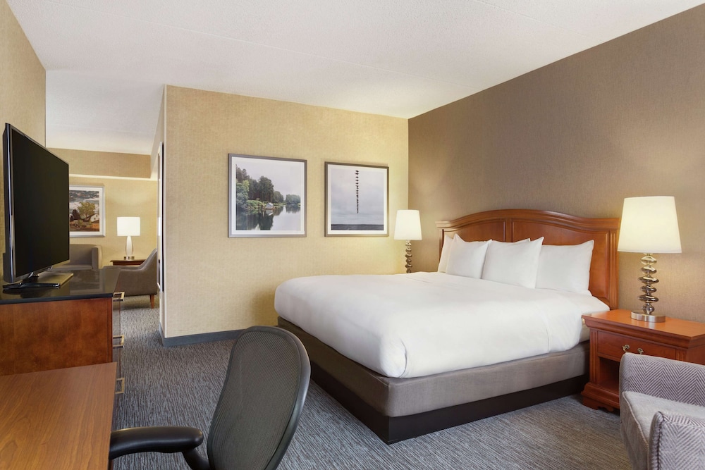 Suite, One King Bed, Non-Smoking photo 3