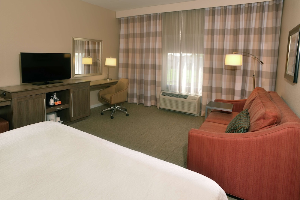 Room, 1 King Bed with Sofa bed, Refrigerator photo 3