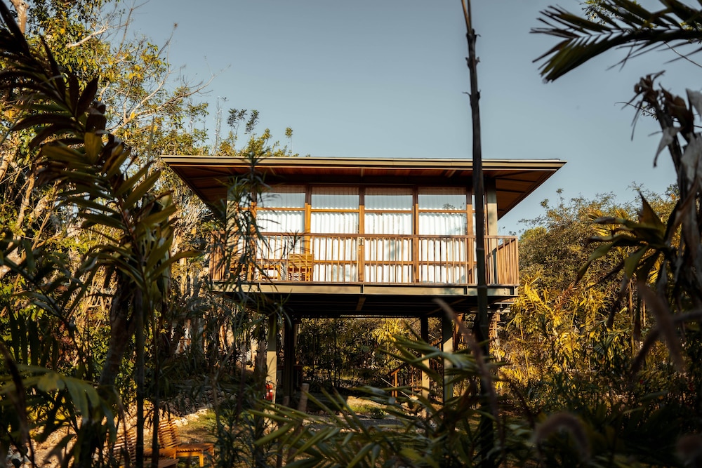Tree House (Studio) - Photo 3