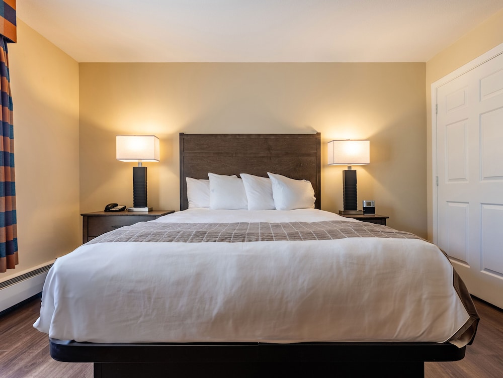 Deluxe Room, 1 King Bed - Photo 8