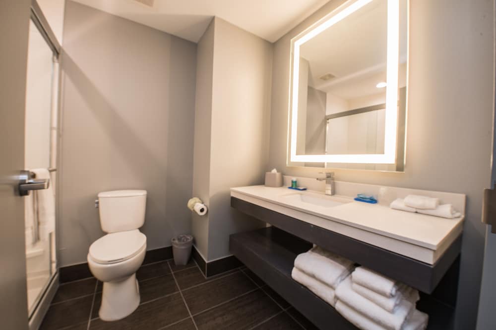 Holiday Inn Express & Suites Houston - Hobby Airport Area by IHG, Fotografia 5