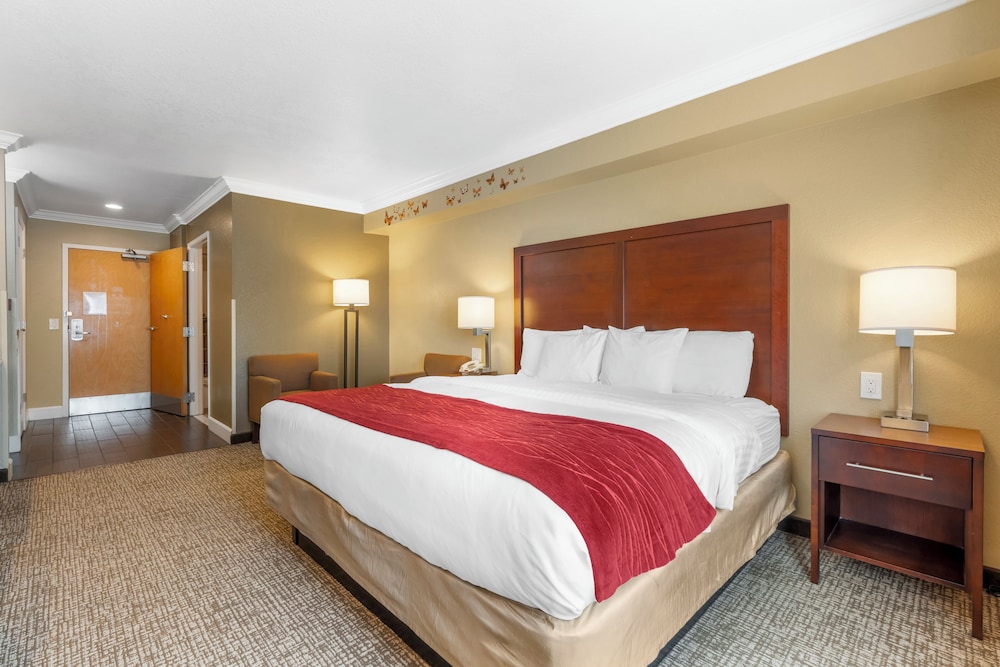 Room, 1 King Bed, Accessible, Non Smoking - Photo 1