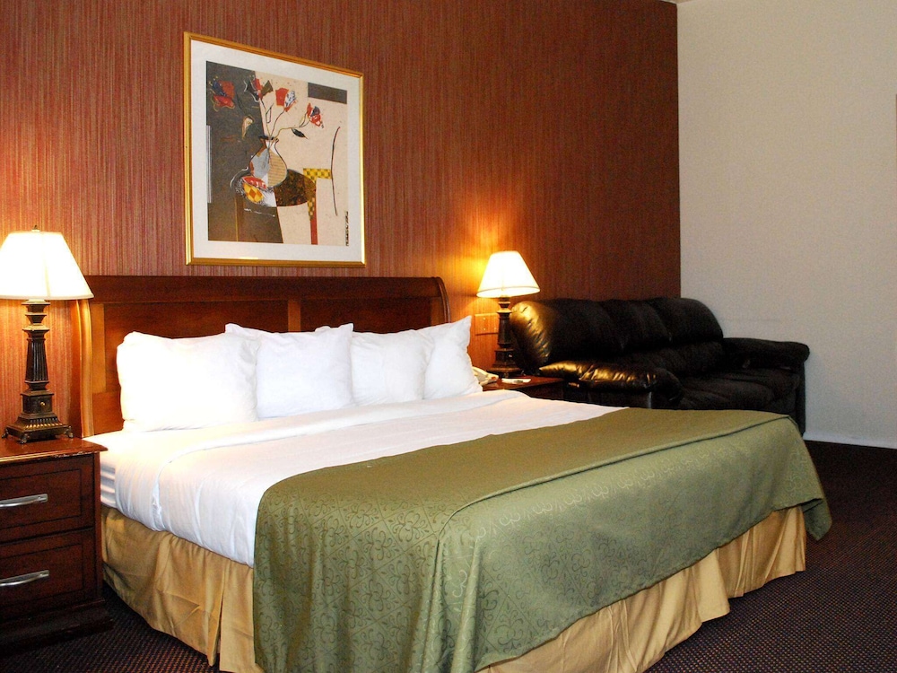 Studio Suite, 1 King Bed With Sofa Bed, Non Smoking photo 1