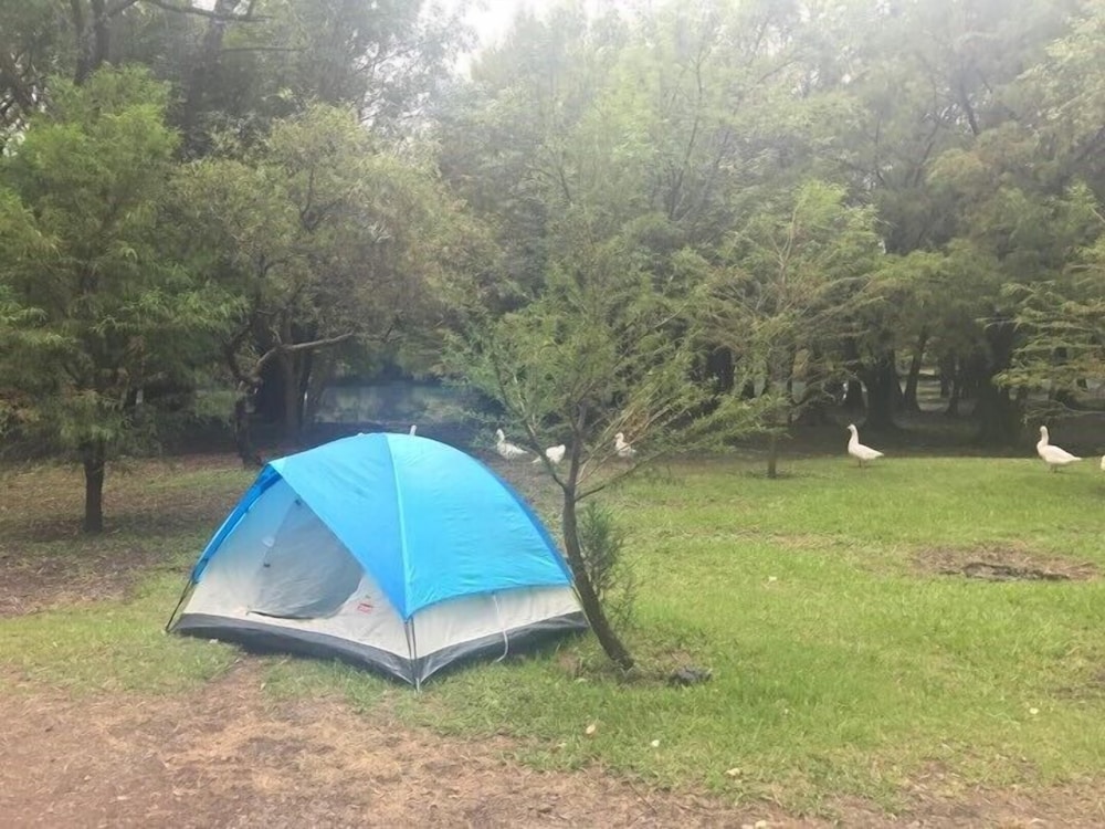 Tent, Multiple Beds photo 3