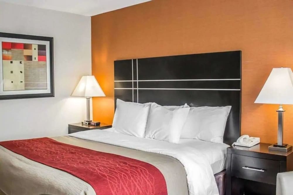 1 Queen Bed Accessible Non Smoking - Photo 4