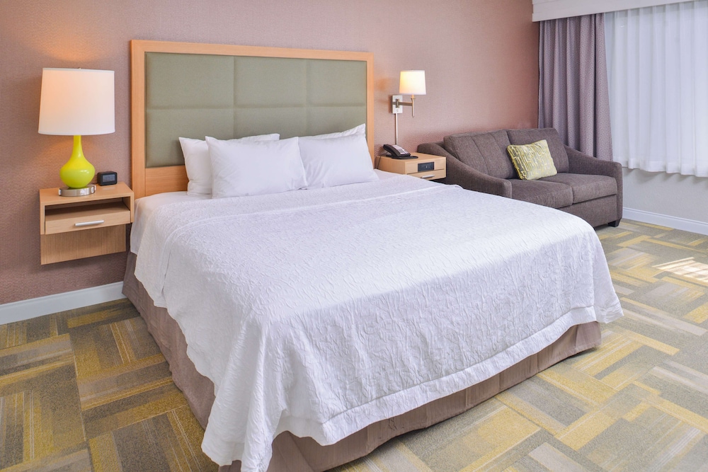 Room, 1 King Bed with Sofa bed, Accessible, Bathtub photo 1