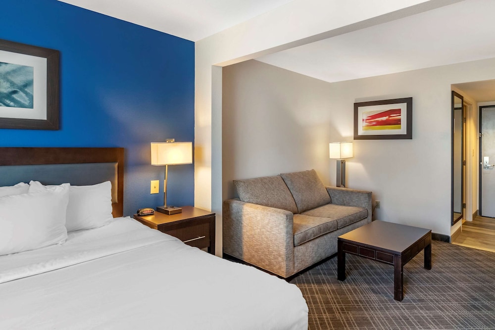 Standard Room, 1 King Bed with Sofa bed, Non Smoking photo 3