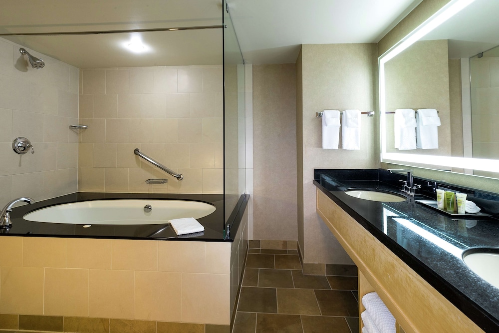Signature Room, 1 King Bed, Jetted Tub (SPA) - Photo 5