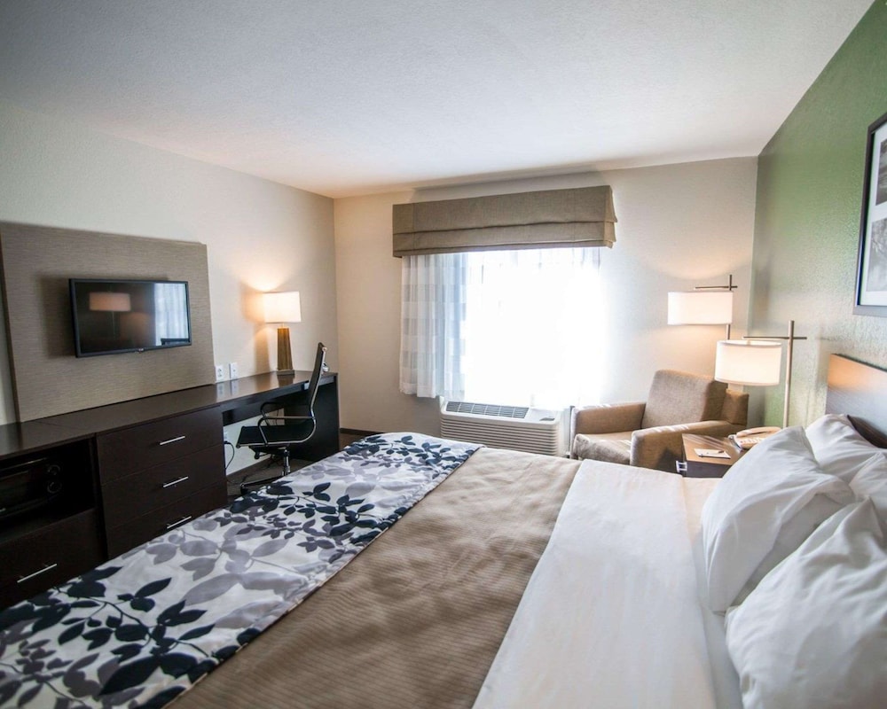 Standard Room, 1 King Bed, Non Smoking photo 2